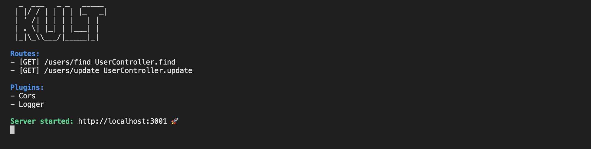 Terminal Output